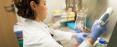 Research at University Marburg Research at University Marburg
